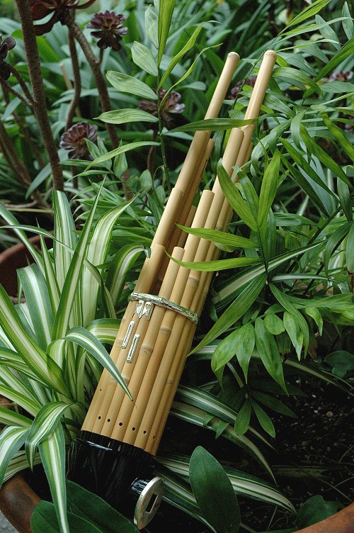 Asian bamboo mouth organ, ancestor of the harmonica
